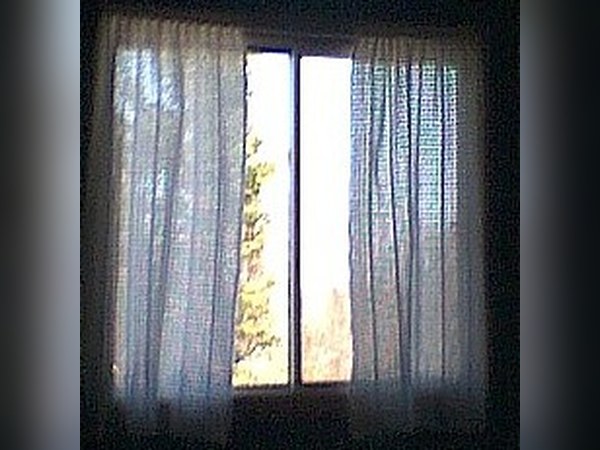 Crocheted Curtains